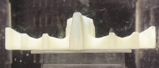 Start removal of support material by soaking the object in water.