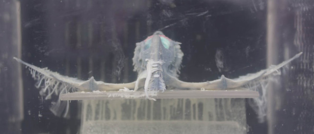 Removing is completed in 3 hours.