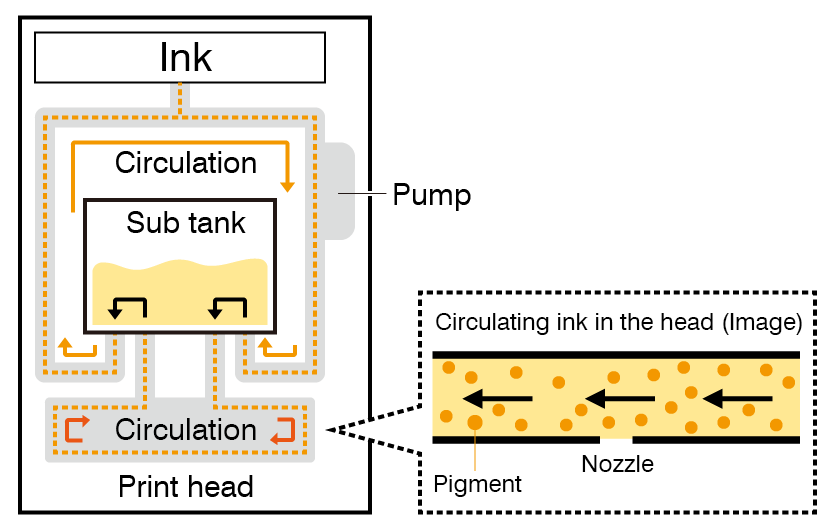 Ink circulation print head